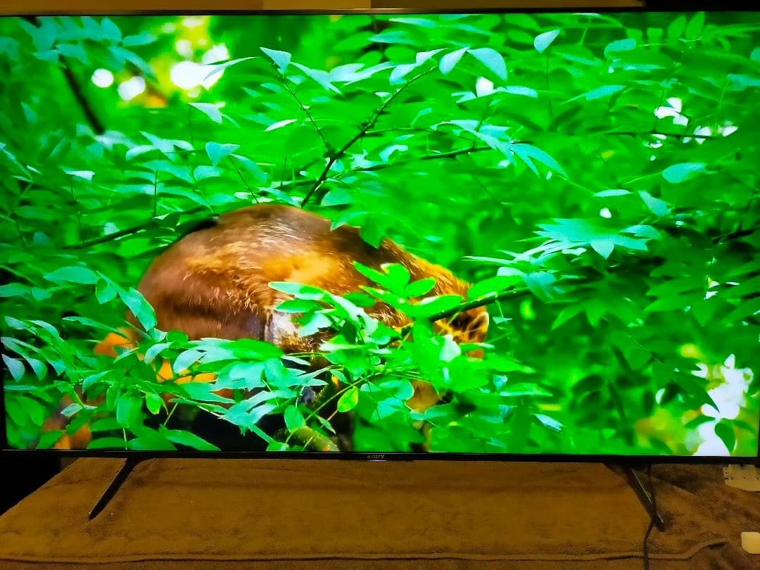 SONY BRAVIA KJ-65X8550H（2020年製）