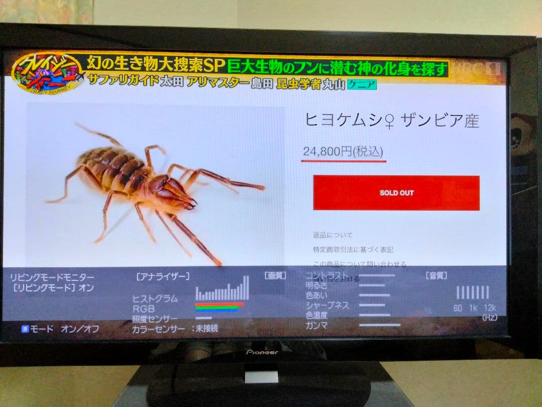 パイオニア プラズマテレビ KURO KRP-500A 台座KRP-SW01