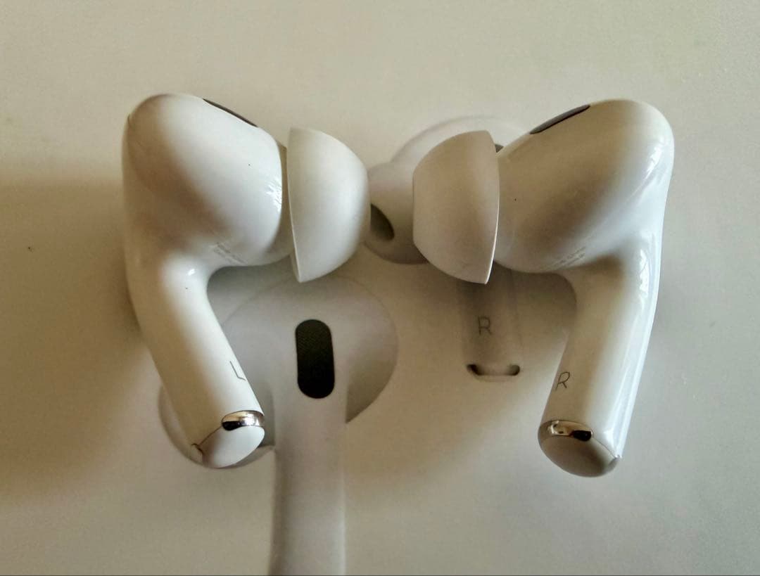 Apple AirPods Pro 2 アップル プロ カーボンケース付