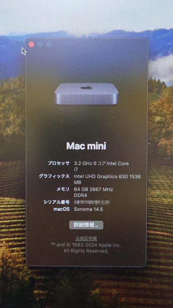 Apple Mac mini Intel 64GB 1TB SSD +おまけ3点