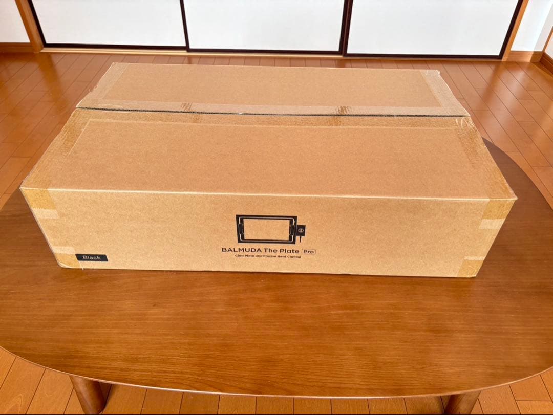 バルミューダ The Plate PRO