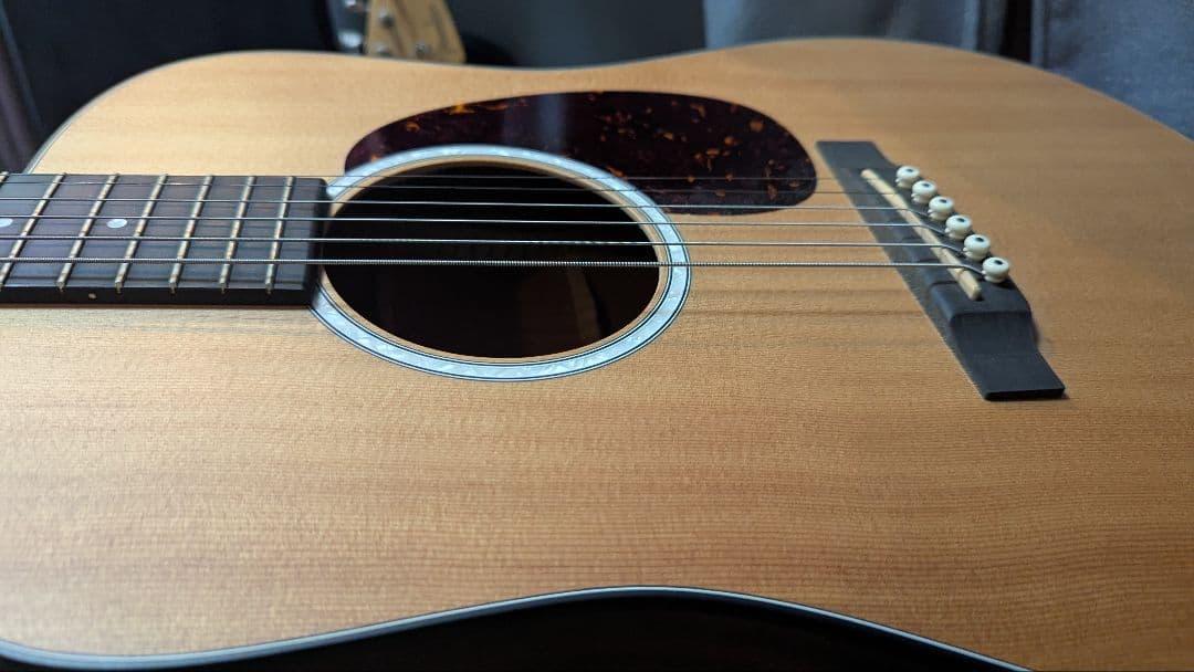 Martin & Co. アコースティックギター