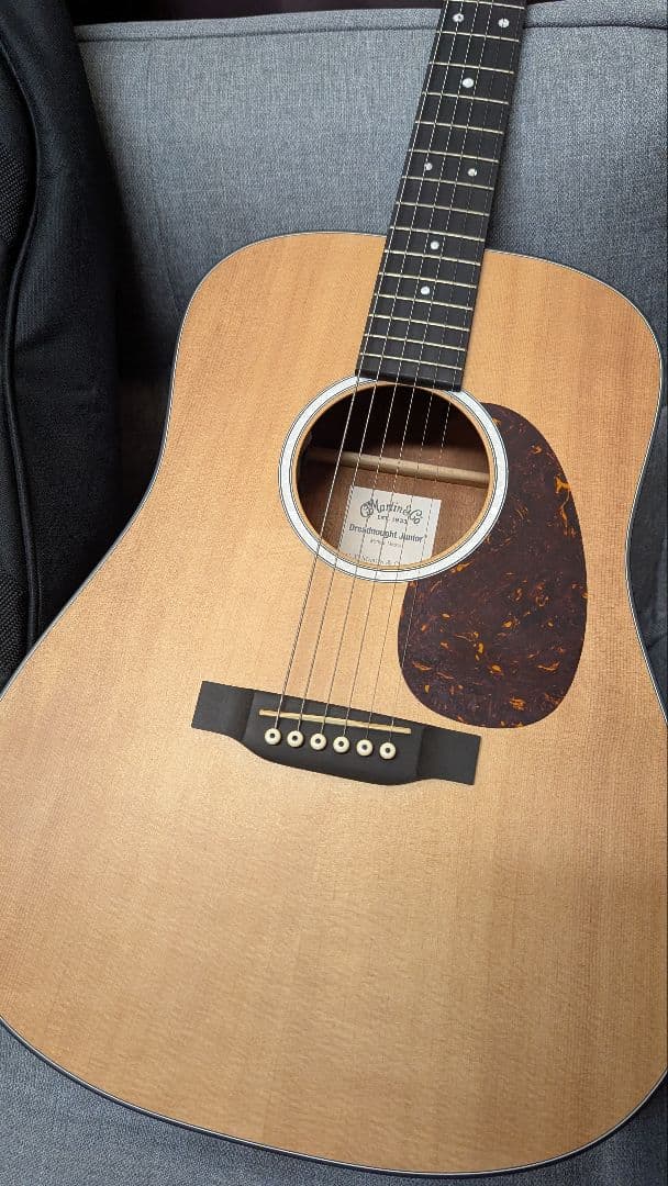 Martin & Co. アコースティックギター