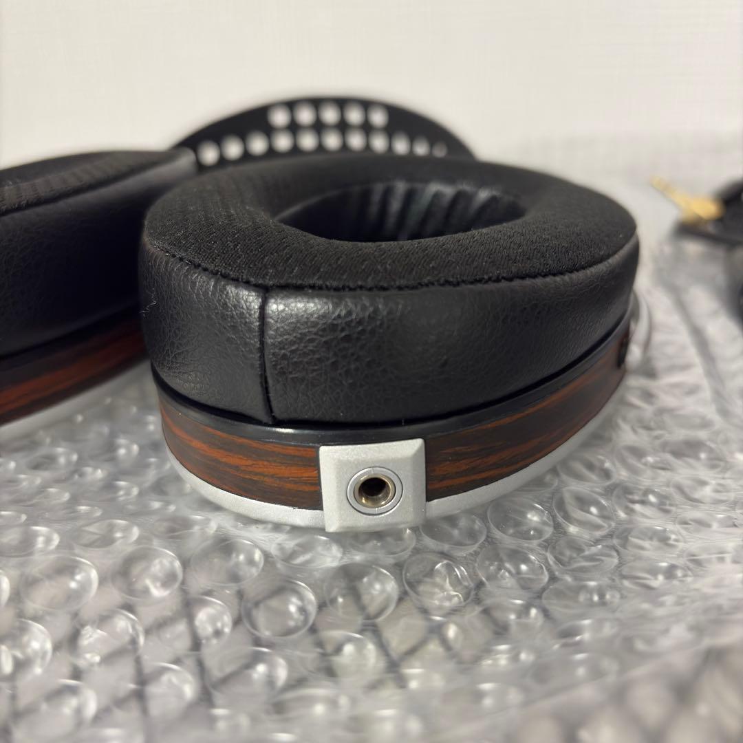 t*c様 HIFIMAN HE1000SE