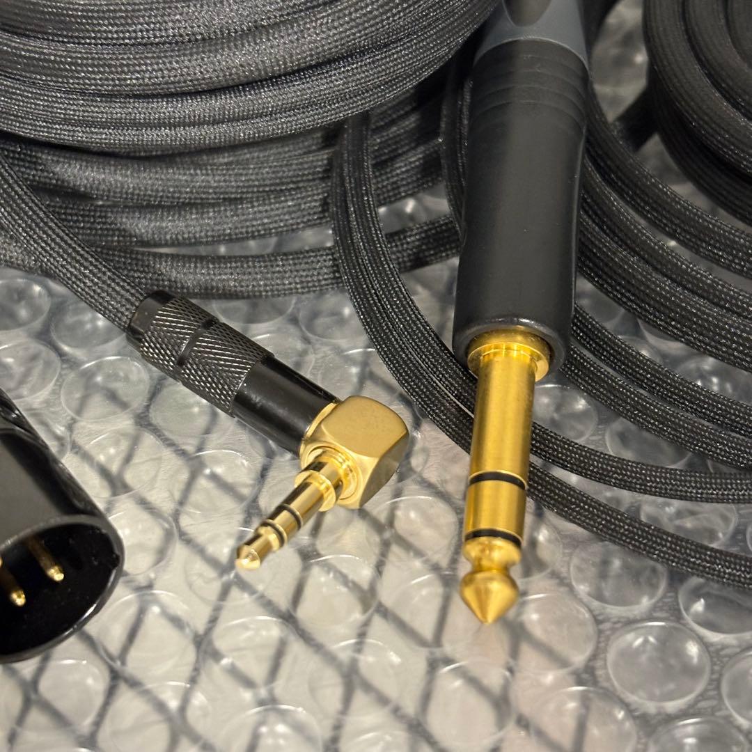 t*c様 HIFIMAN HE1000SE