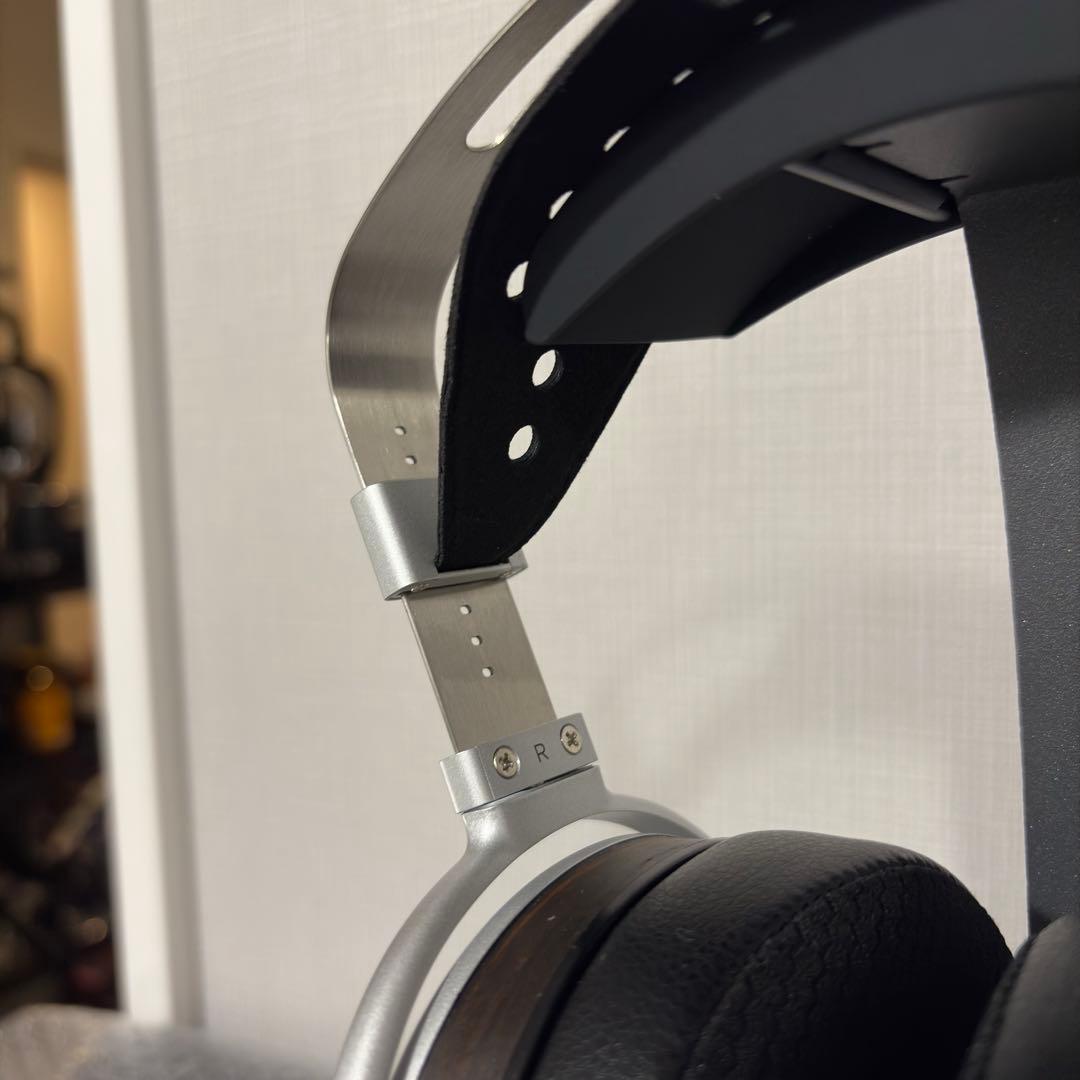 t*c様 HIFIMAN HE1000SE