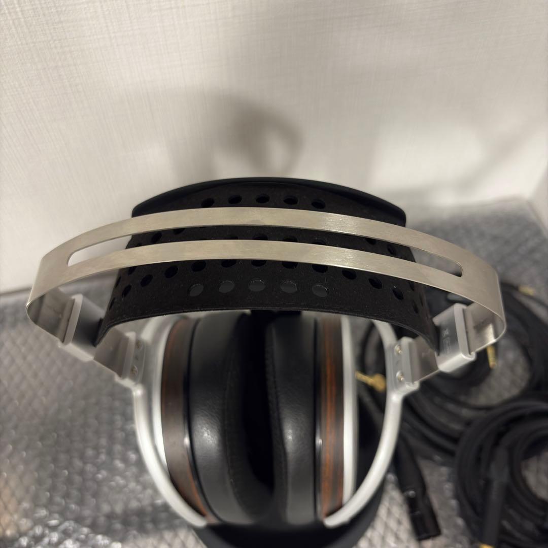 t*c様 HIFIMAN HE1000SE