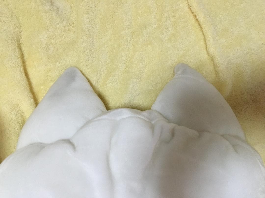 どこでもいっしょ 　井上トロブルブルクッション