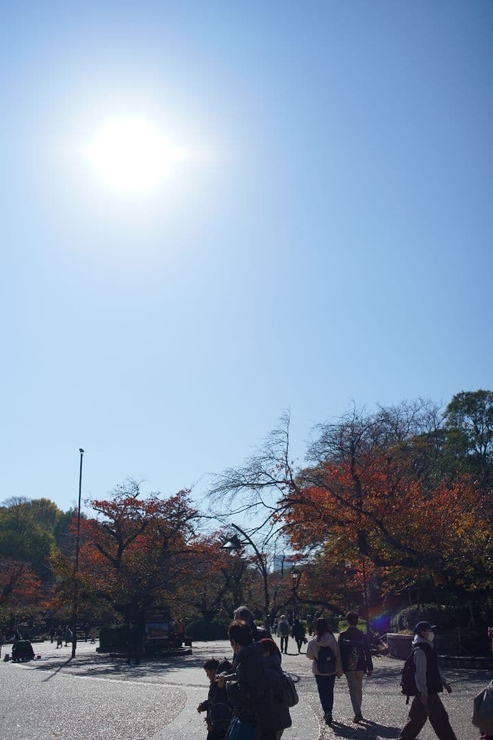 レンズ(単焦点) Nikon ai af nikkor 35mm f2D