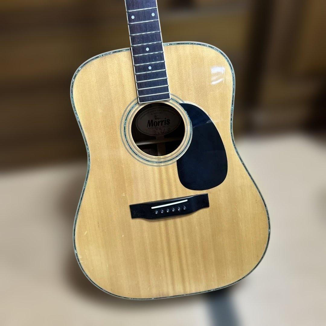 MORRIS アコースティックギター ドレッドノート