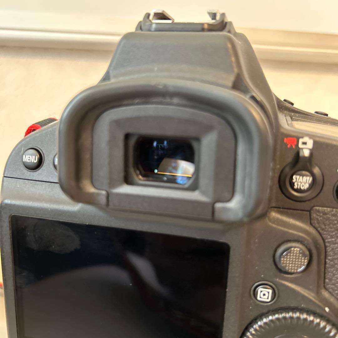 CANON EOS-1DX MarkⅡ　不動