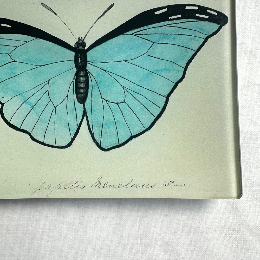 JOHN DERIAN デコパージュプレート Blue Butterfly