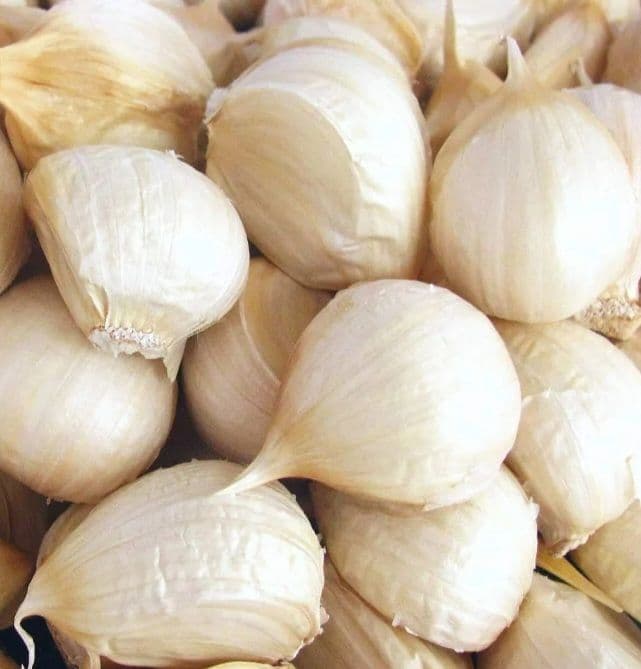 青森県産　にんにく バラ5kg