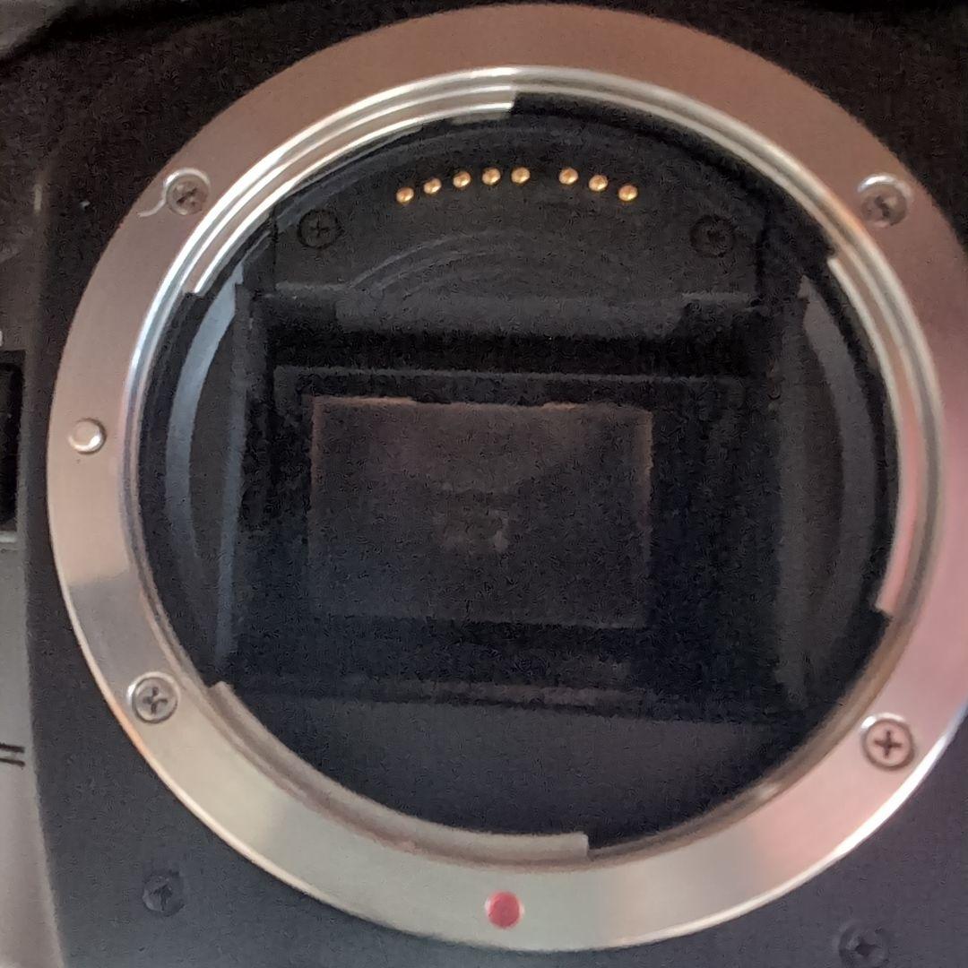 最終価格　Canon EOS 7 一眼レフカメラ 視線入力