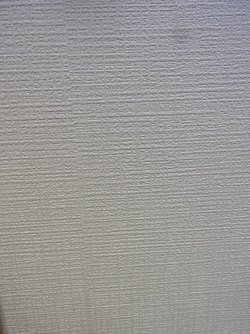 リコーRICOH CX2 デジタルカメラ本体★付属品有コンデジコンパクトデジカメ