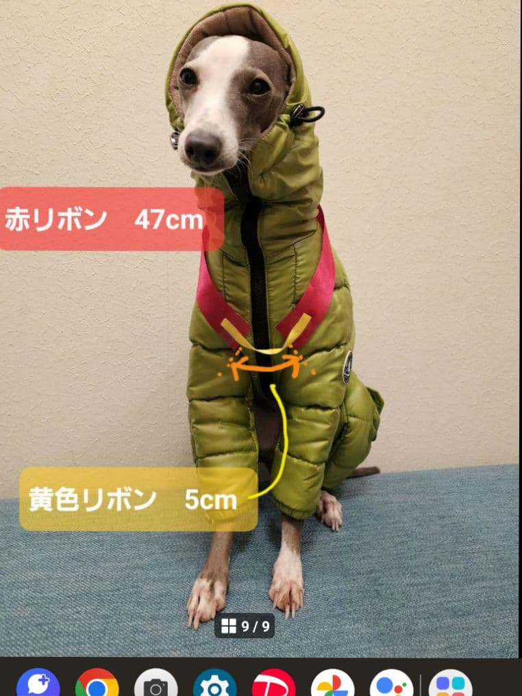 ペット用お遍路白衣さんや袋付き&輪袈裟　大型わんちゃん用　3点セット