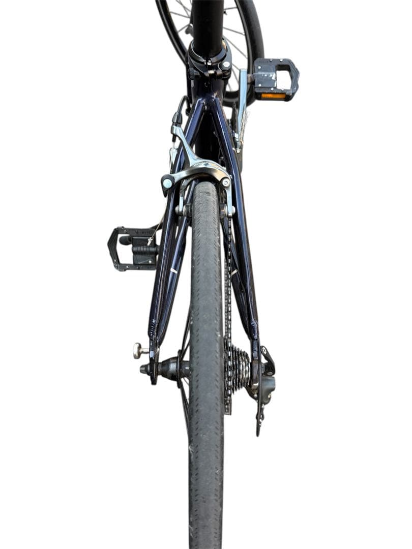 DAHON Visc Pro 美品