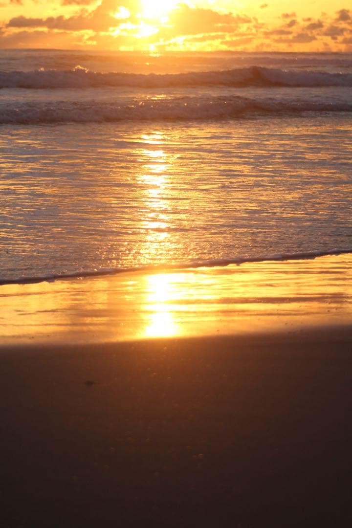 デジタルカメラ Canon EOS Kiss x7