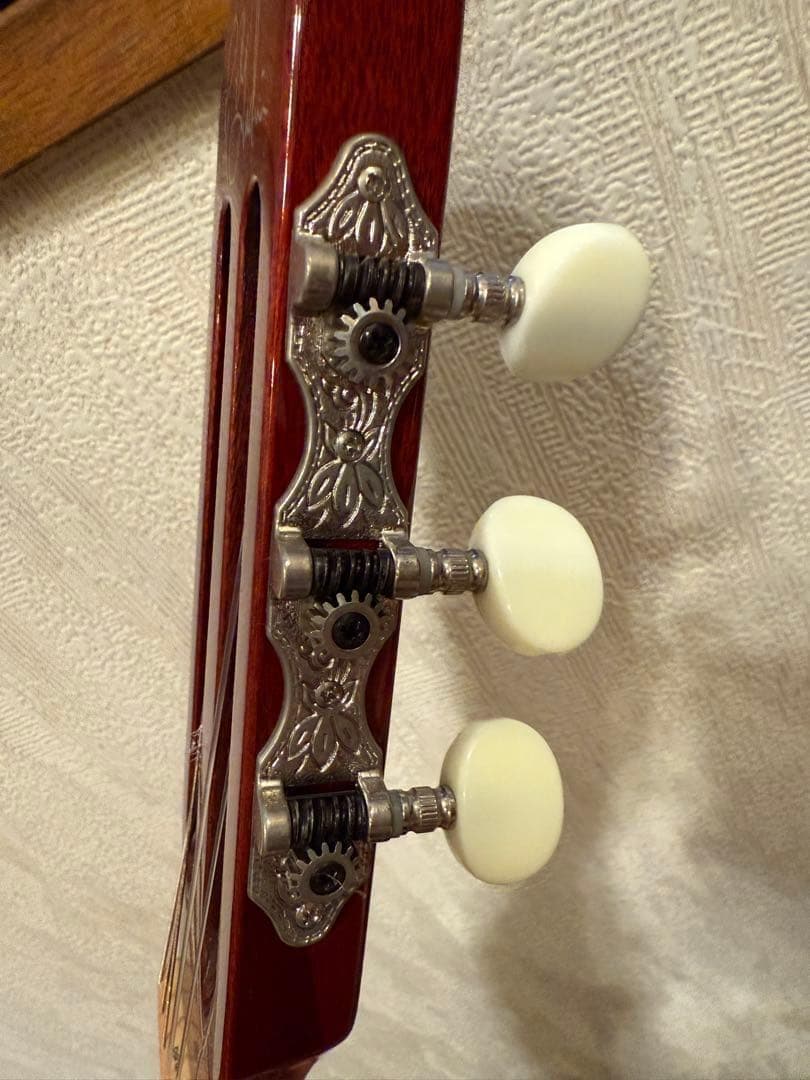 モツ様 Godin Multiac Nylon Encore Natural