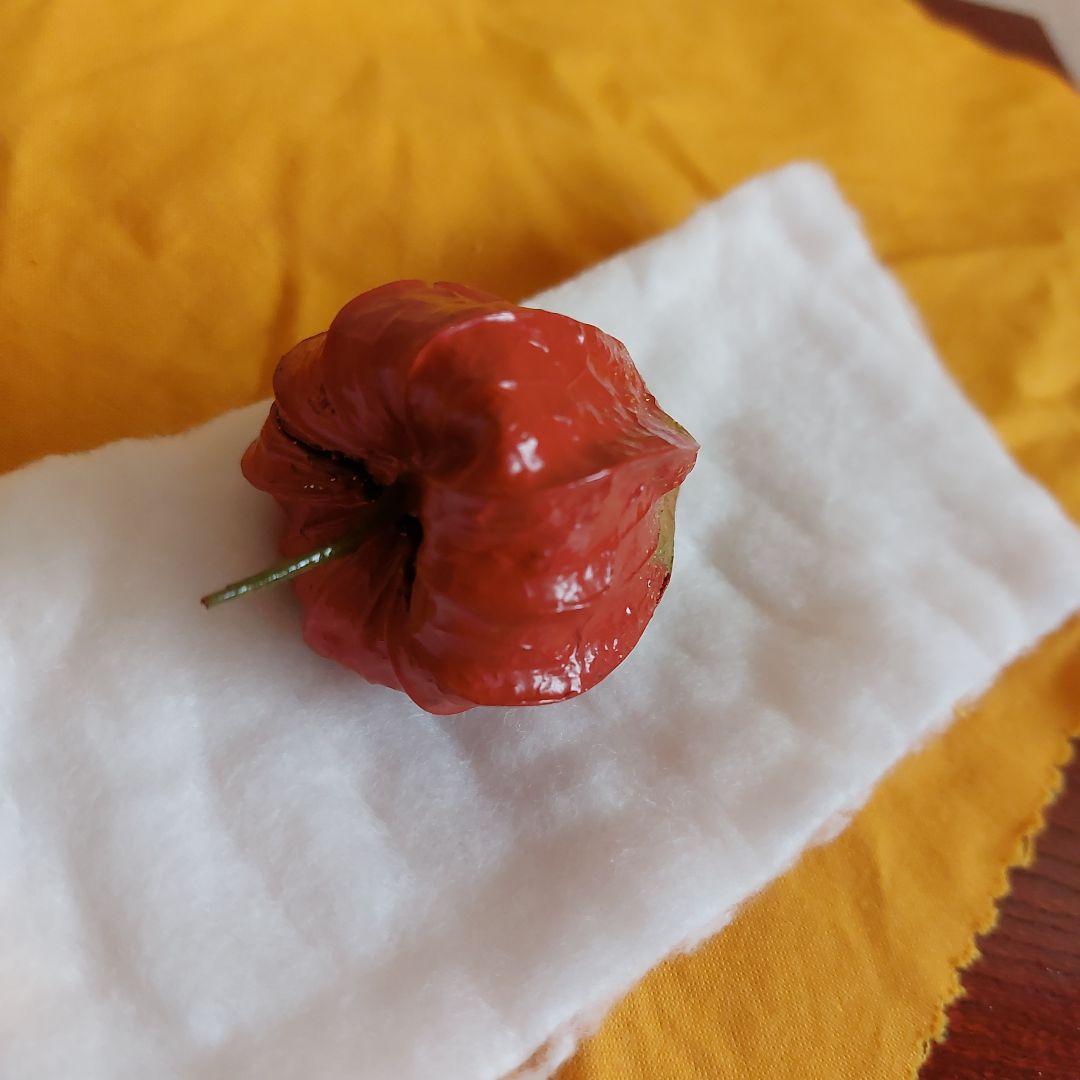 茶道具　鬼灯香合　乾漆　輪島塗　一斎作