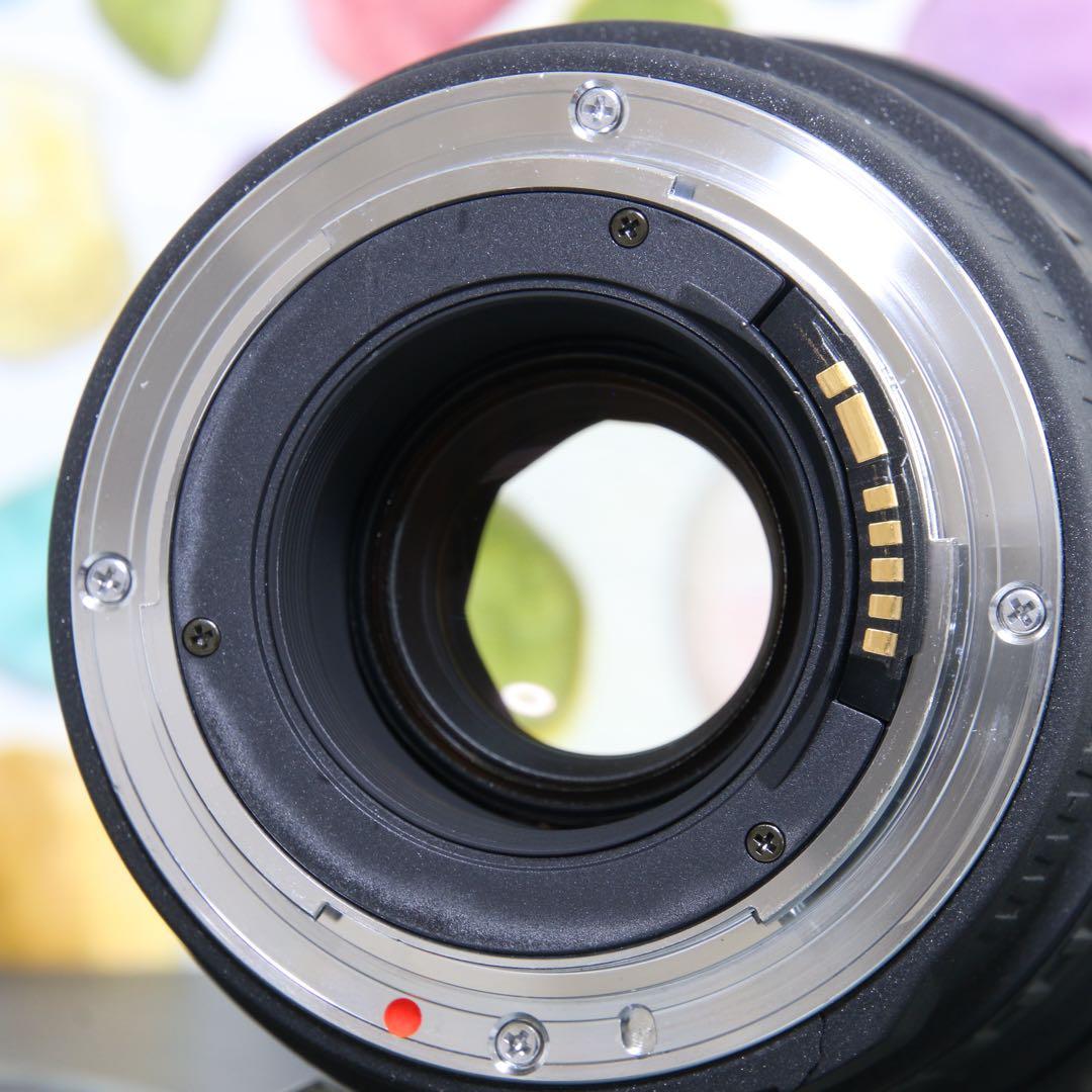 ♥︎◇神レンズ♪ フード付♪ ◇SIGMA 28-70mm F2.8 Canon