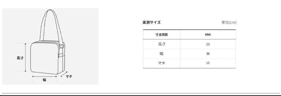 すぐ発送【韓国限定】ノースフェイス ボニーホーボー バック 3way 人気色