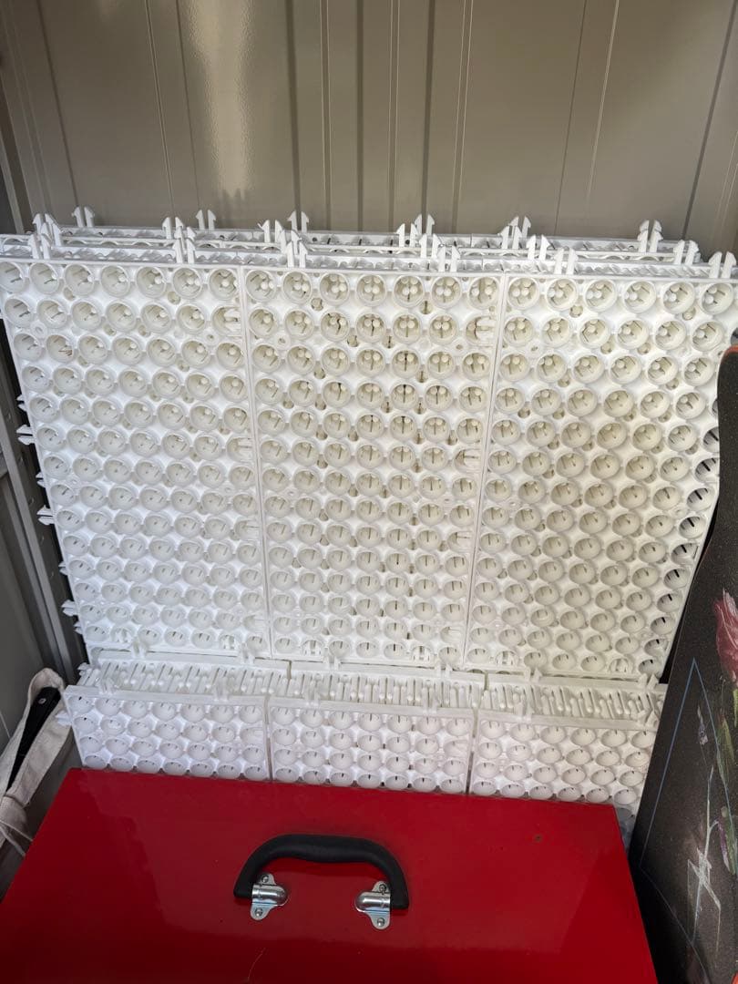 シバカツ 30枚セット