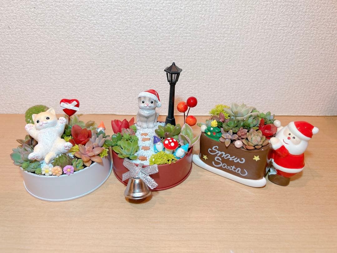 メルカリ便♫多肉植物寄植え♫そのまま飾れる♫ねこちゃんセットChristmas