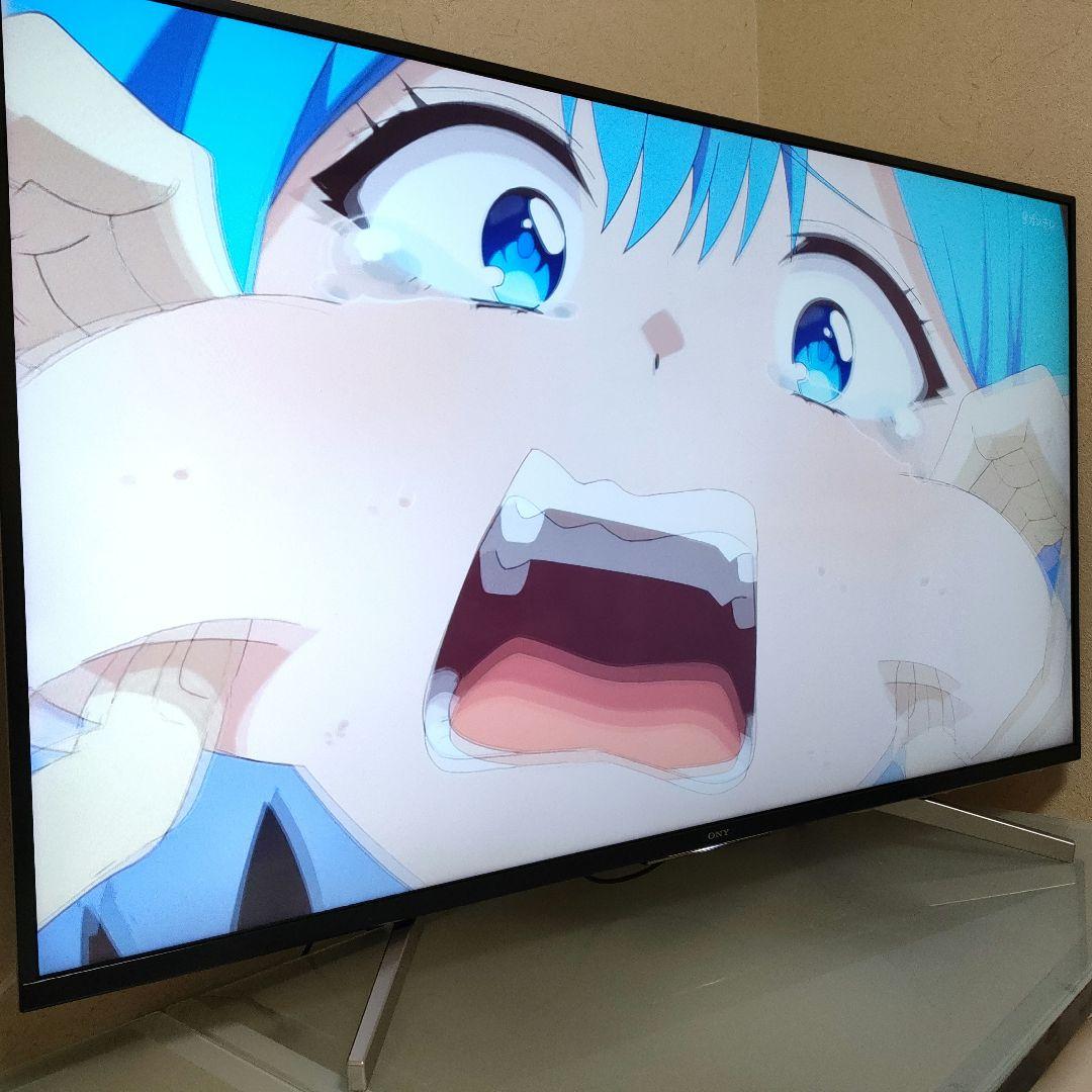 SONY[2020年製品]KJ-49X8500G