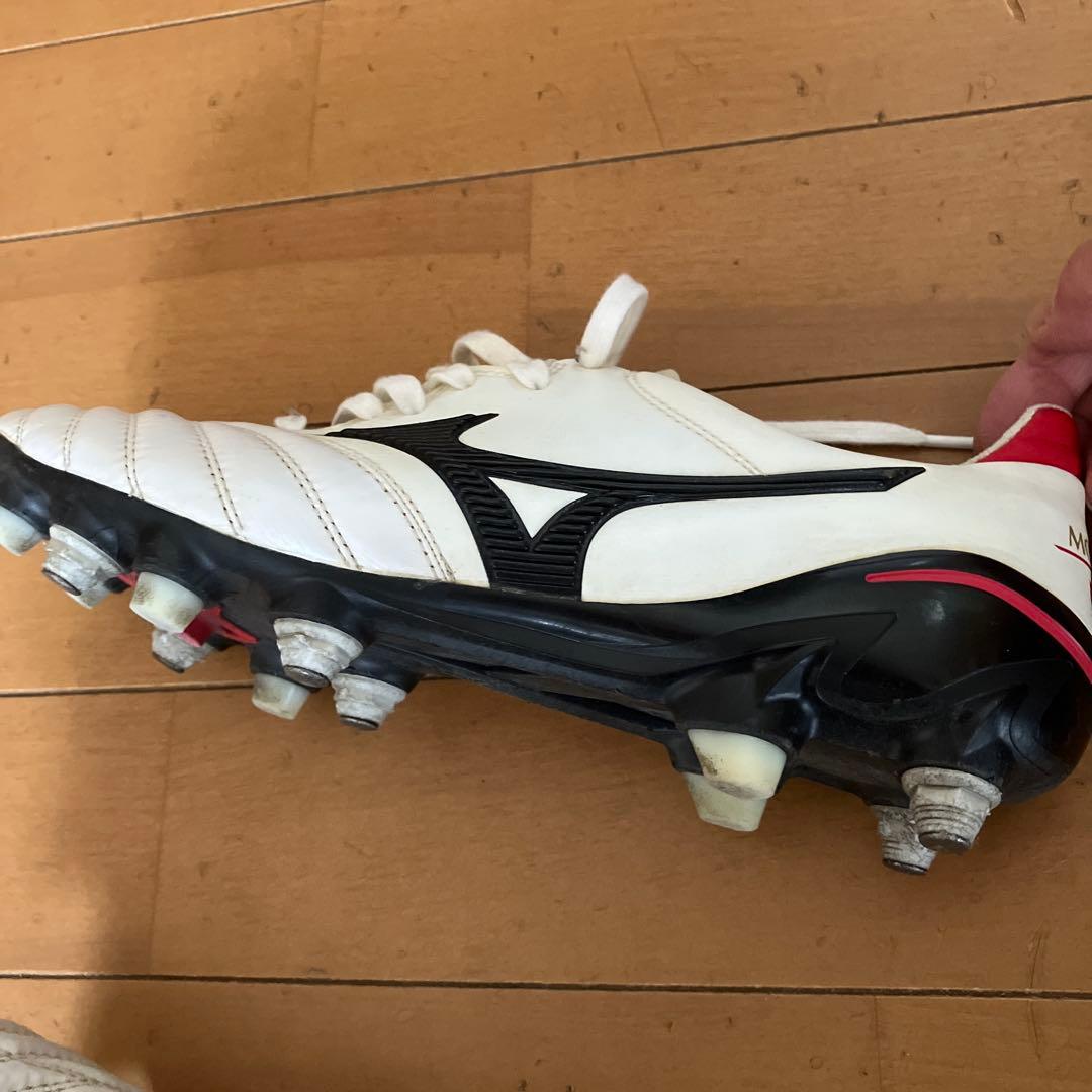 京さま　モレリア　ネオ　26