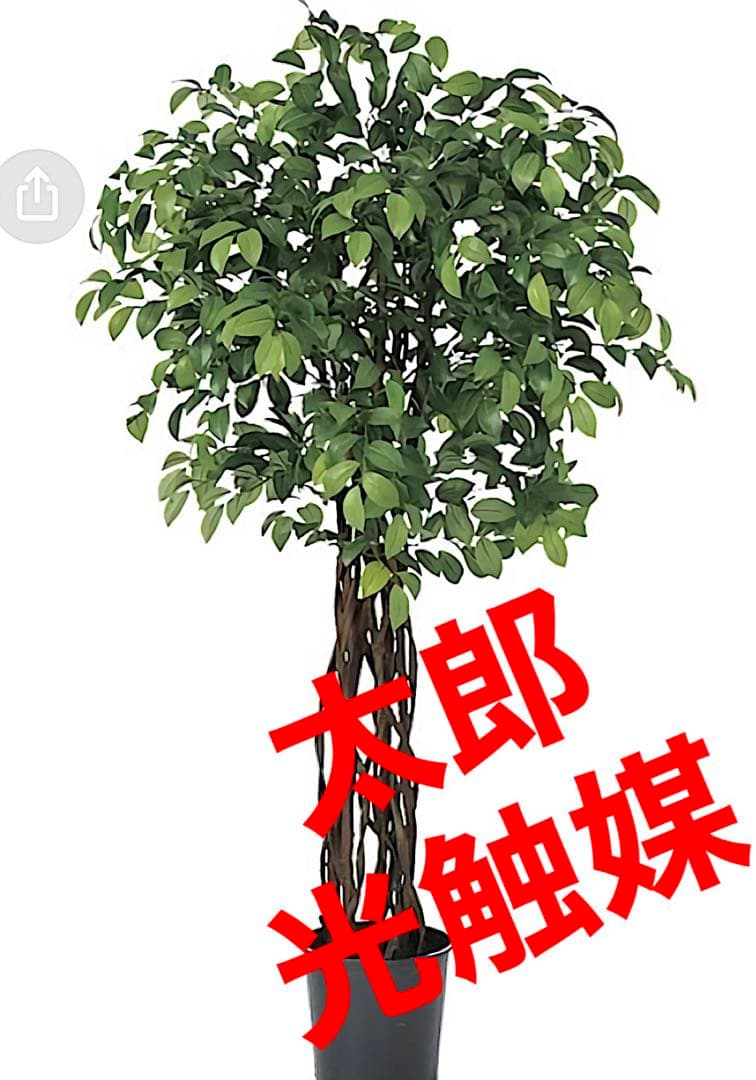 光触媒　人工観葉植物　ウォールグリーン　フェイクグリーン　サカキタワー158