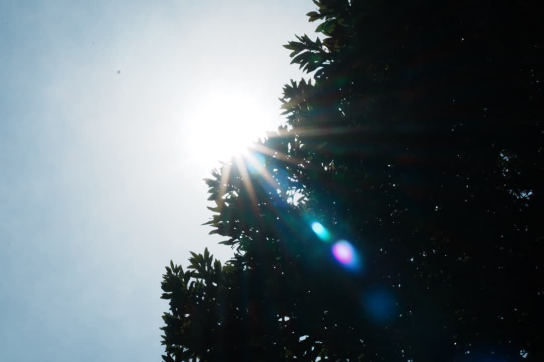 【美品】動作◎ SONY E 35mm F1.8 OSS 神レンズ 391