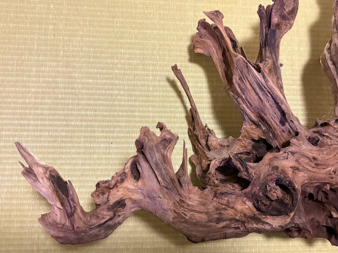 ADA ホーンウッド流木と小型流木