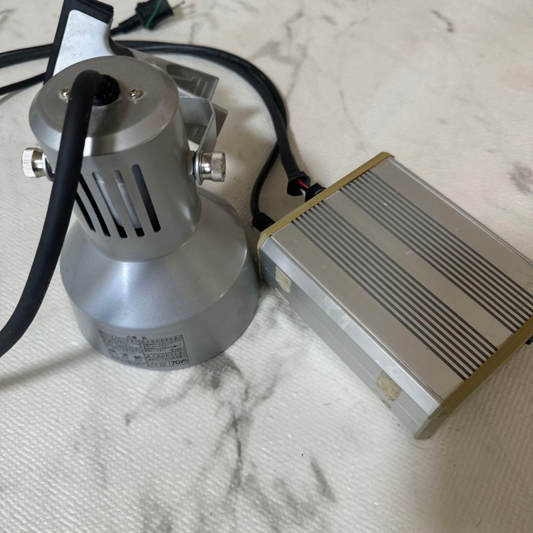 ソラーレ 爬虫類 メタハラ