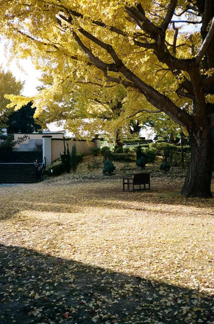 極美品 KONICA C35 flashmatic 783209【整備・試写済】