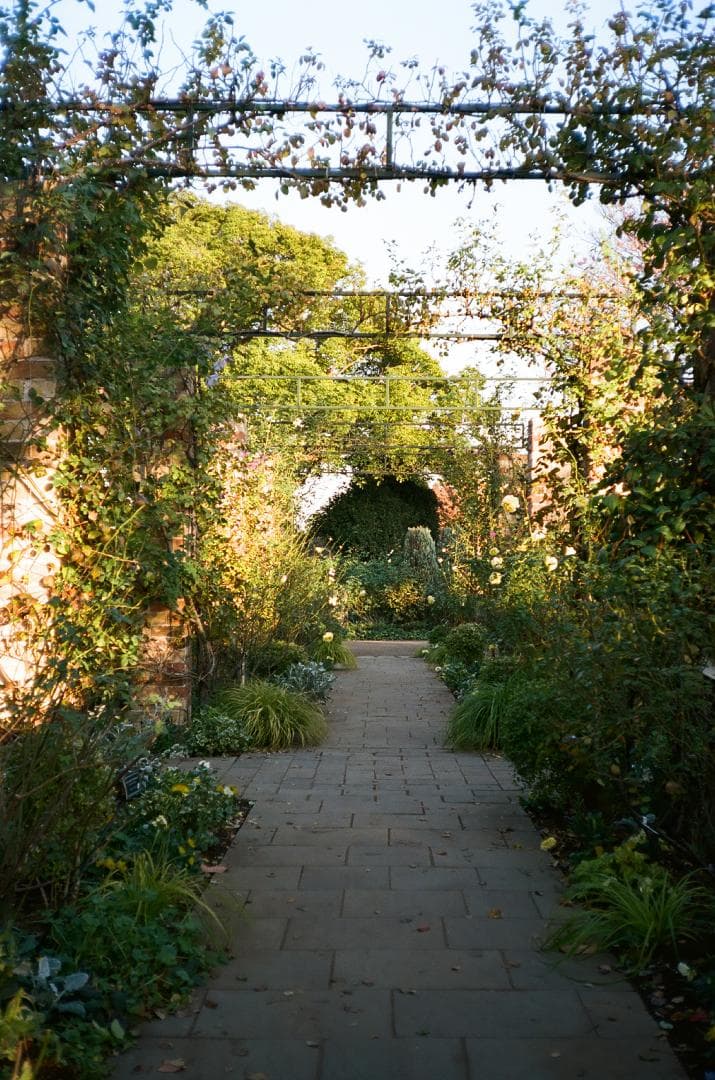 極美品 KONICA C35 flashmatic 783209【整備・試写済】