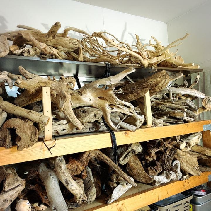 爬虫類等　流木レイアウトご相談ページ