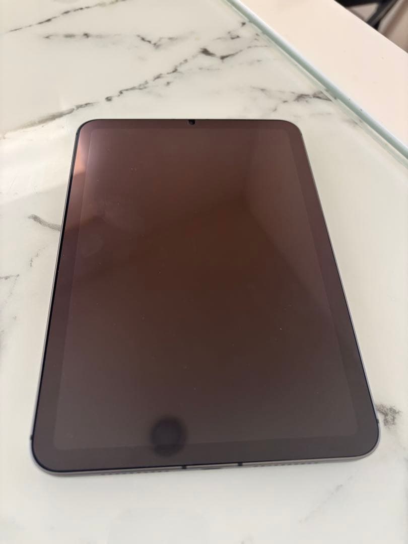 超美品iPad mini6 cellular64GB グレーバッテリー100%