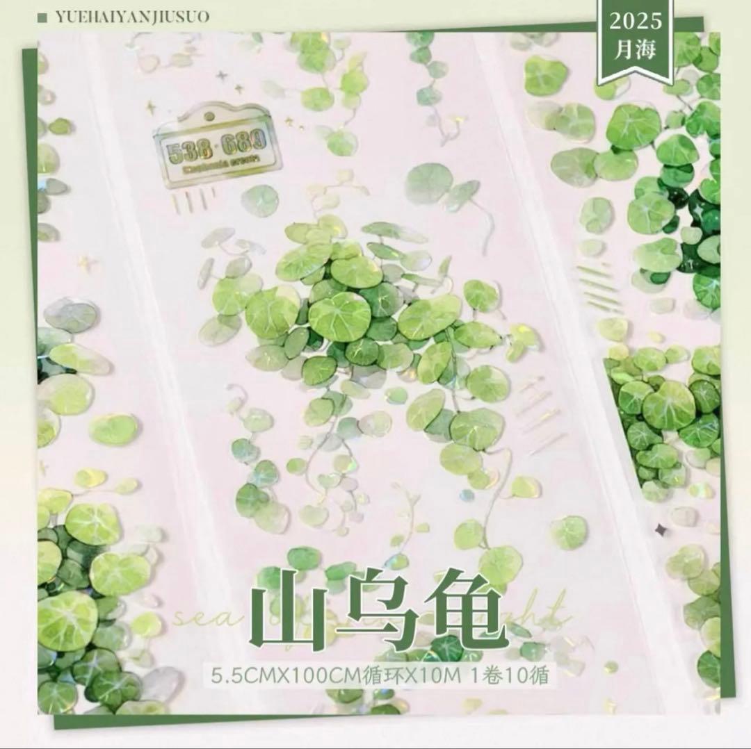 贝壳光 山乌龟 5.5cm×10m 海外マスキングテープ　海外マステ　葉