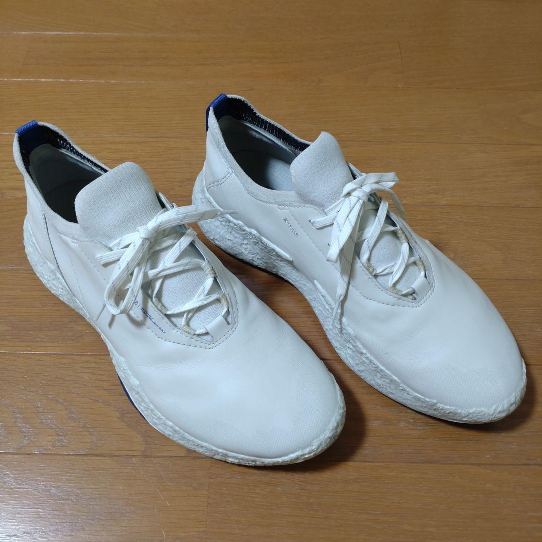 シューズ(男性用) ecco BIOM H5 43