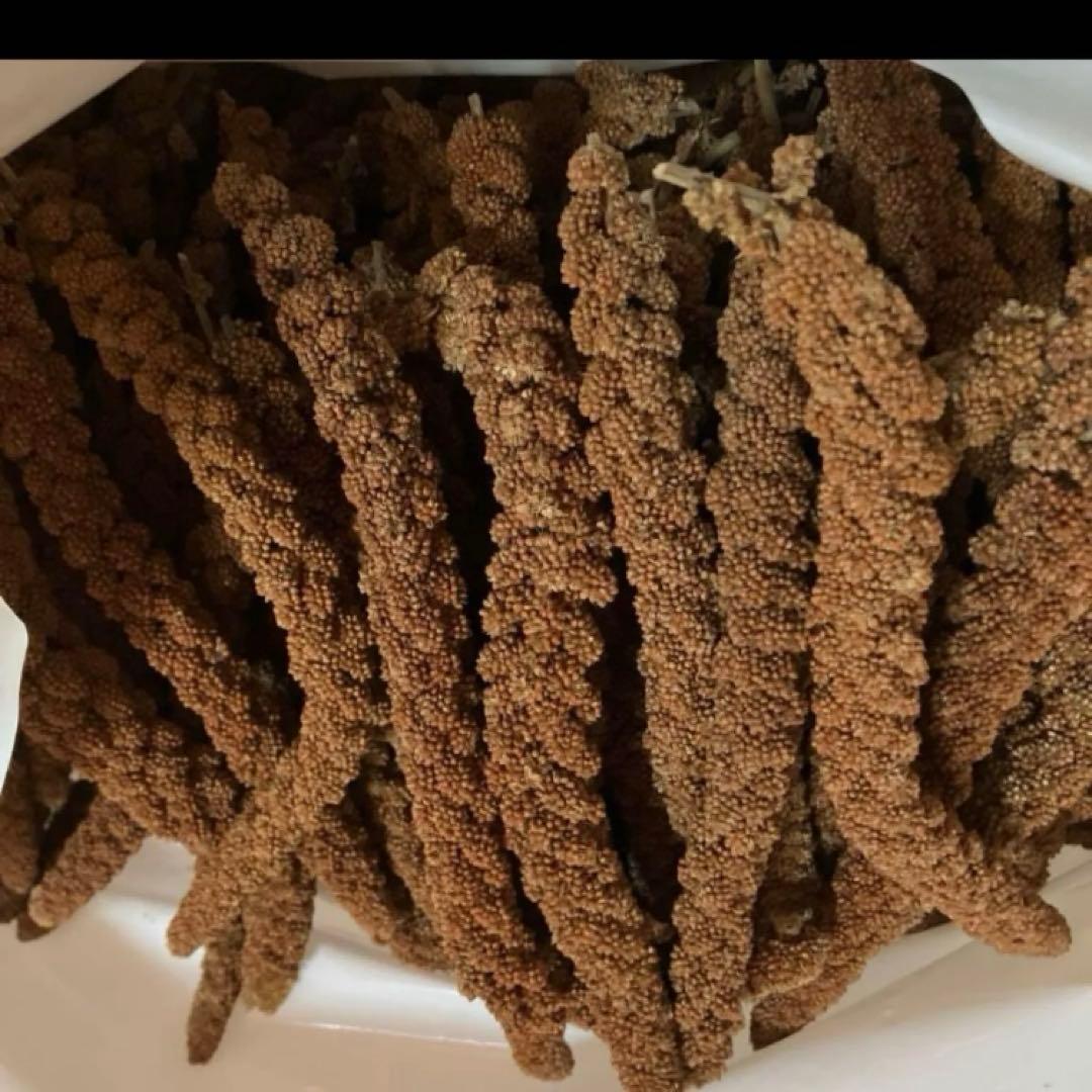 Mona様 リクエスト 6点 まとめ商品