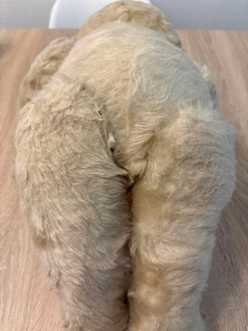 DDRベア　アンティーク