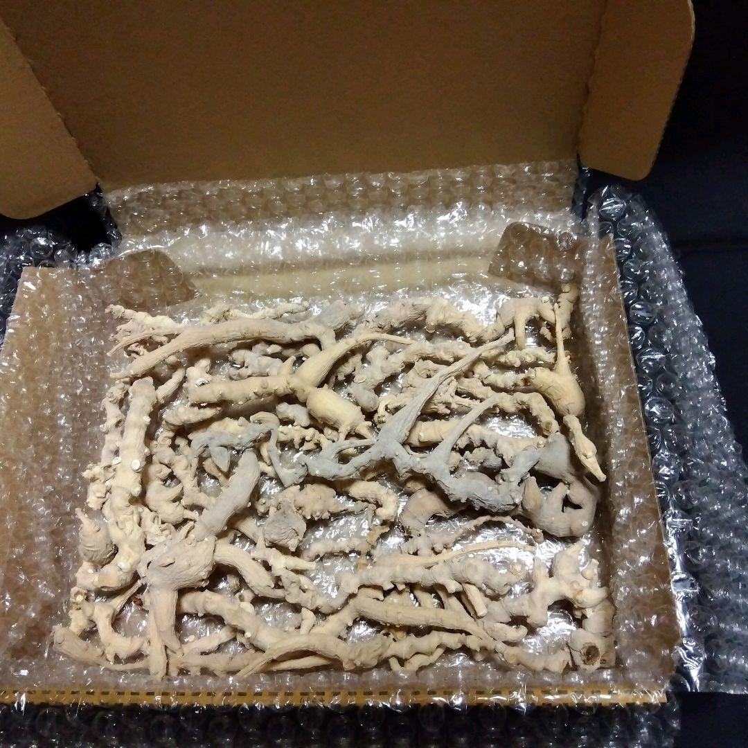 天然トチバニンジン乾燥品チクセツニンジン３００グラム