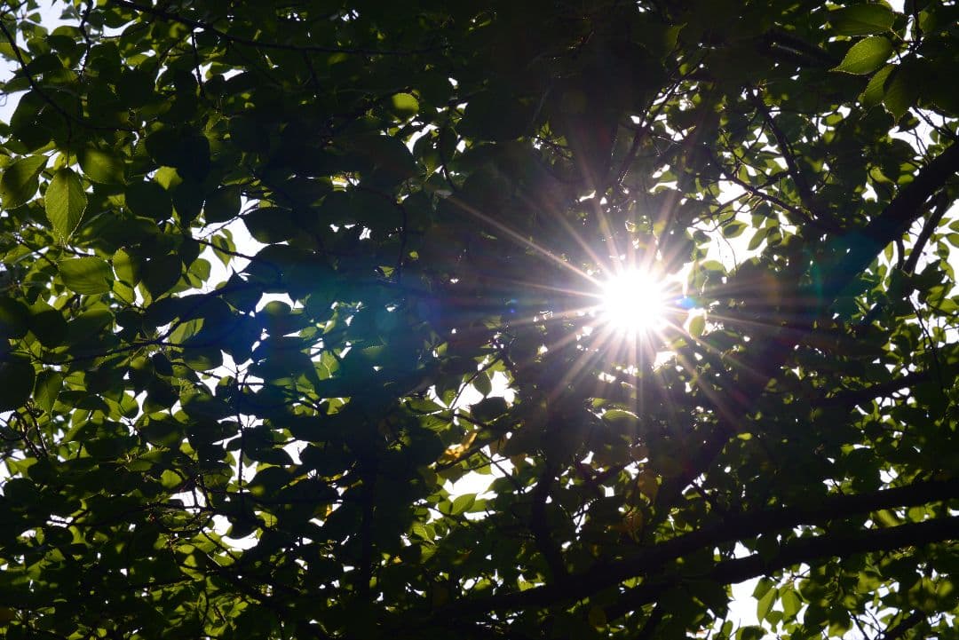 最終価格！！美品！Nikon AF Nikkor 80-200mm f2.8