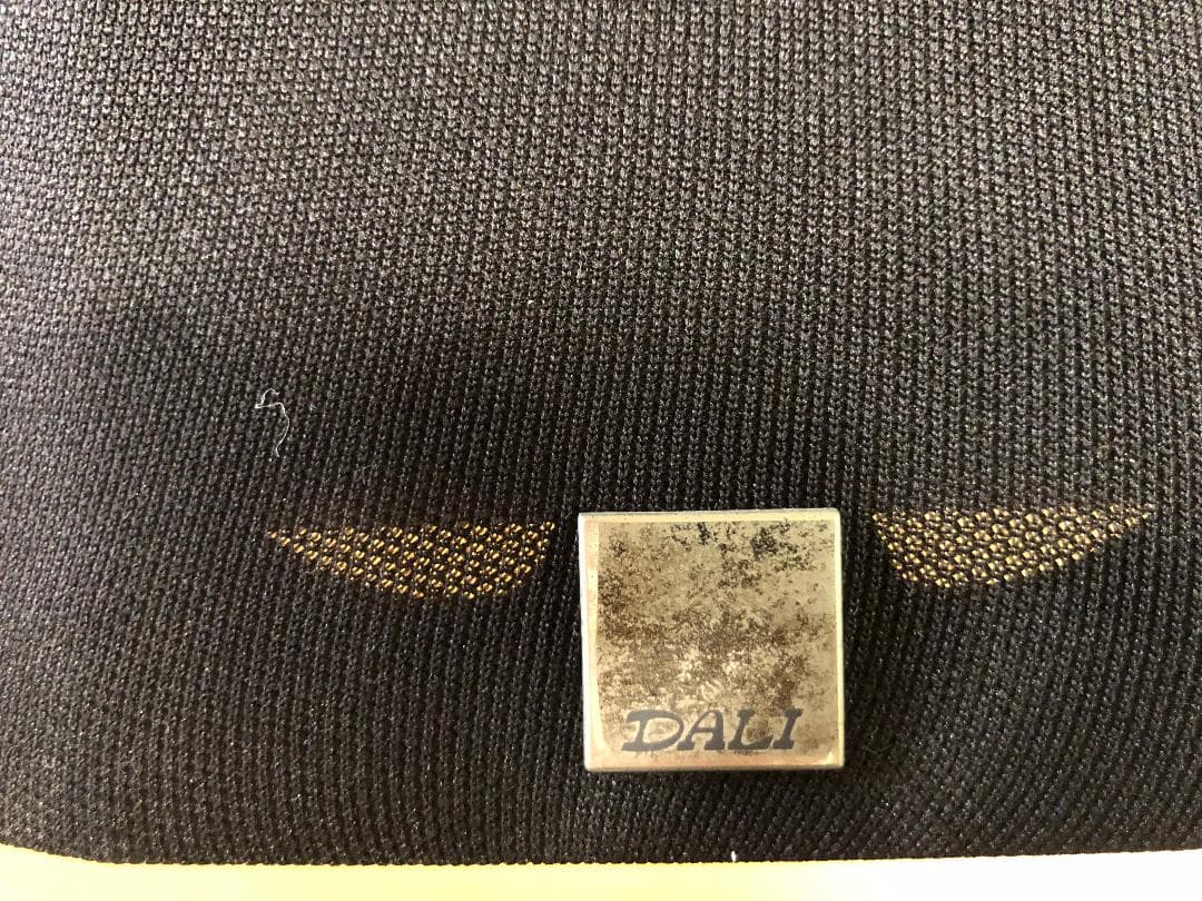 DALI スピーカー Lektor1