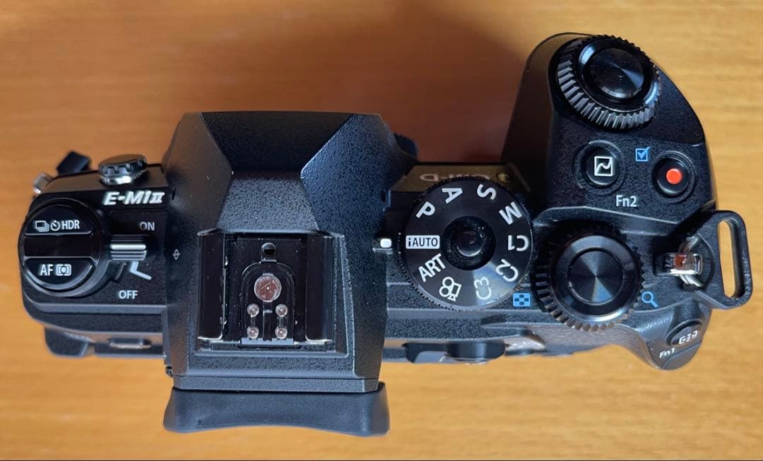 OLYMPUS ミラーレス一眼カメラ OM-D E-M1 MarkII