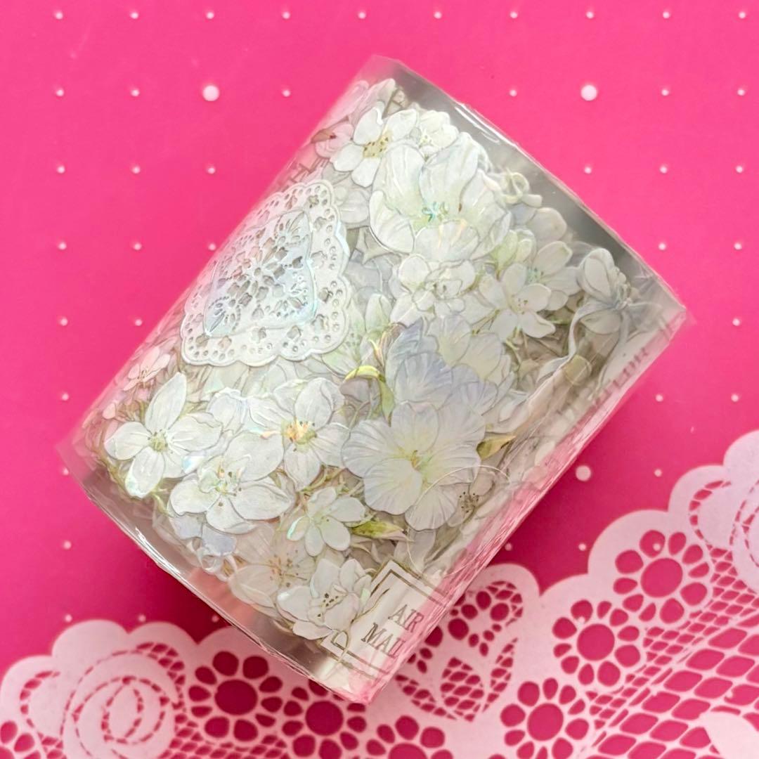 贝壳光 6cm×10m 素汐锦年 海外マスキングテープ　海外マステ　花