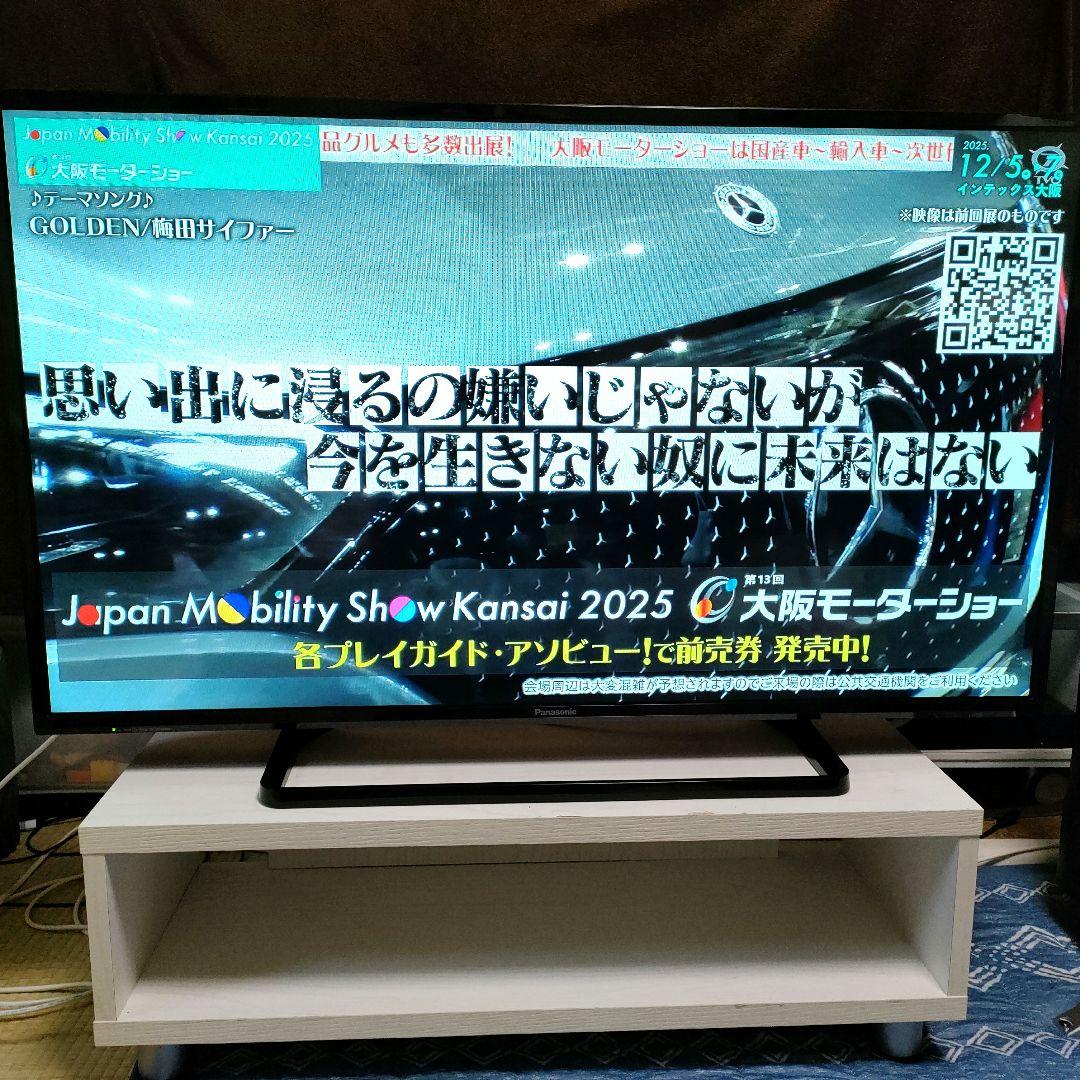 Panasonic[2018年製品] TH-43E300