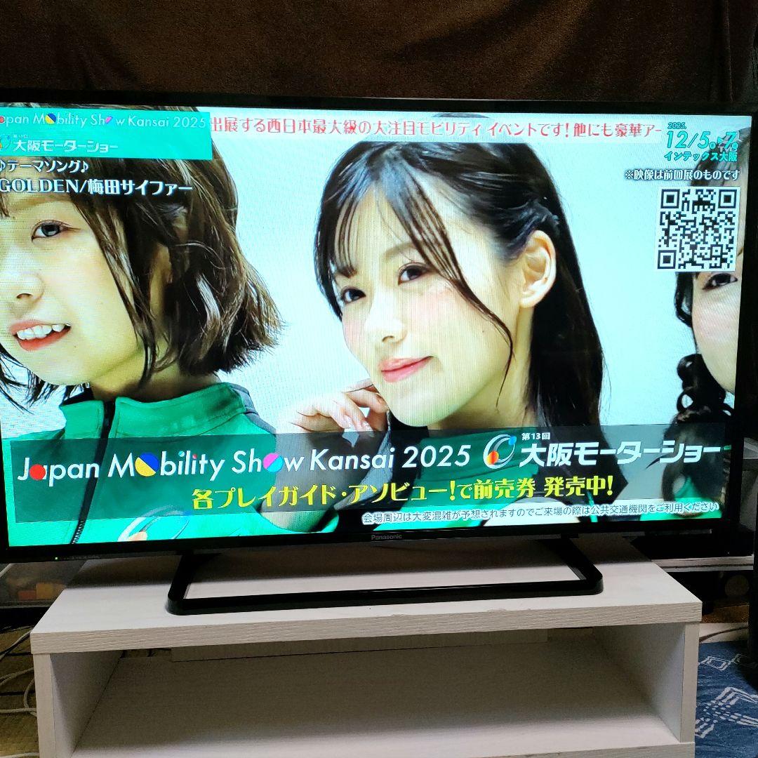 Panasonic[2018年製品] TH-43E300