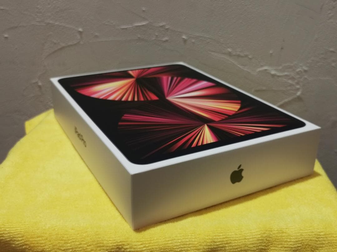 第三世代 iPad Pro 11インチ(WiFi 256GB)+純正Pencil